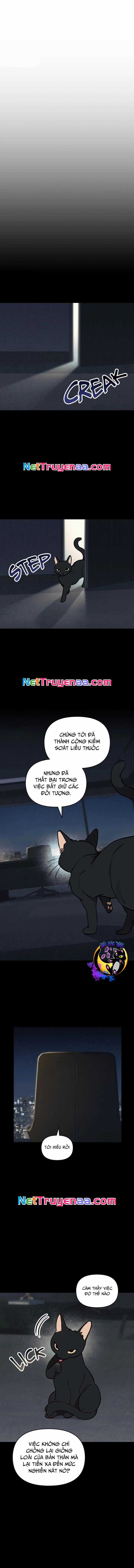 Xích Chặt Ông Chủ Của Tôi Chapter 9 trang 10