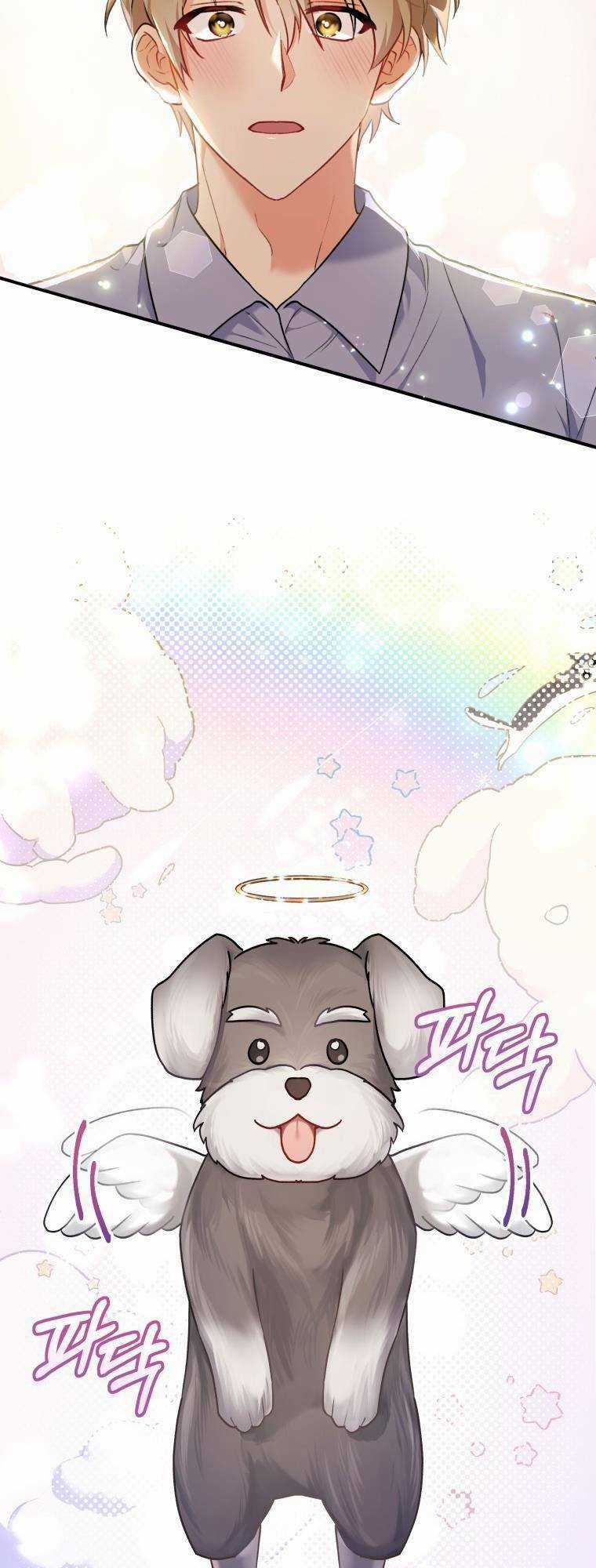 Xin Chào! Bác Sĩ Thú Y Chapter 1 trang 12