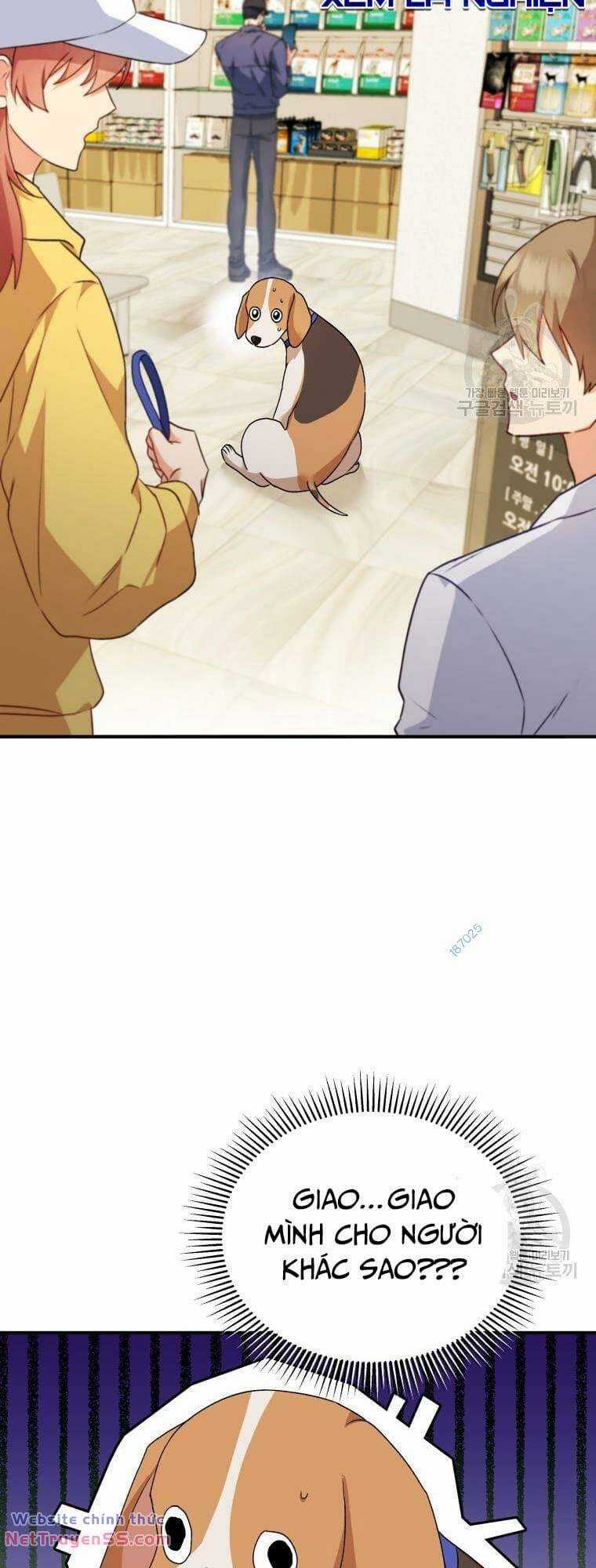 Xin Chào! Bác Sĩ Thú Y Chapter 10 trang 27