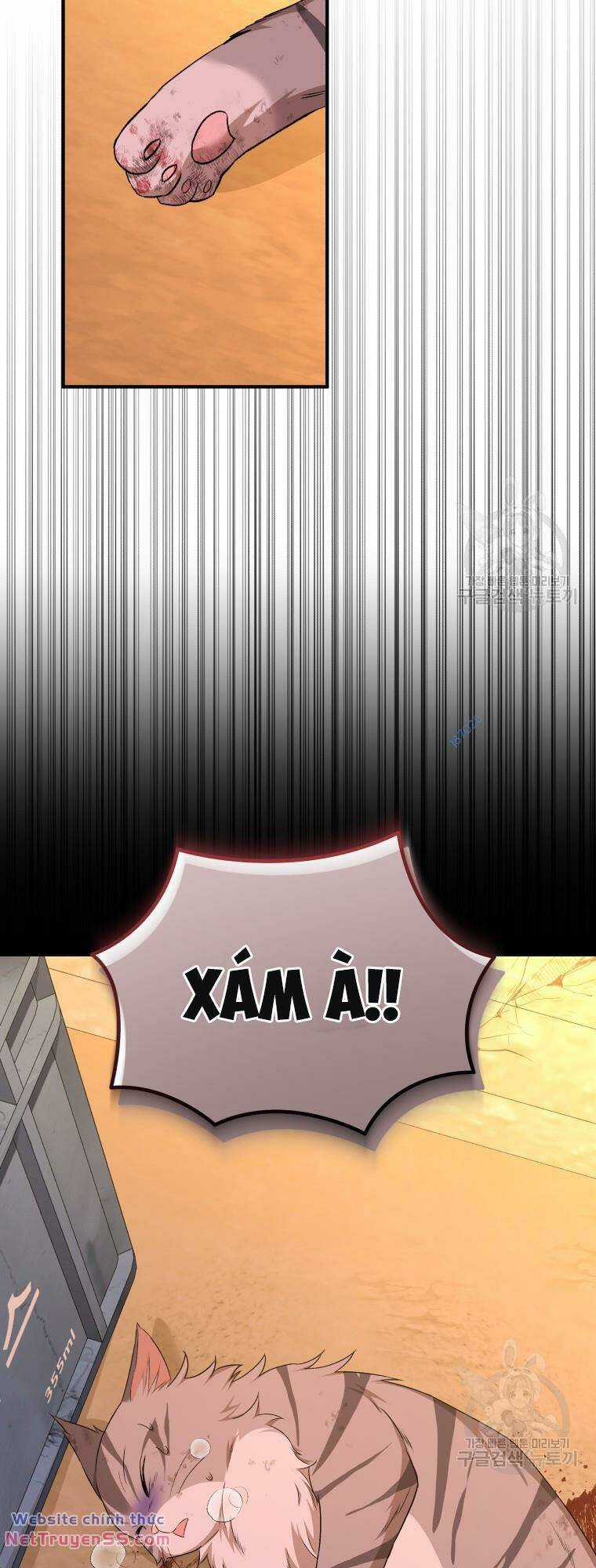 Xin Chào! Bác Sĩ Thú Y Chapter 12 trang 48