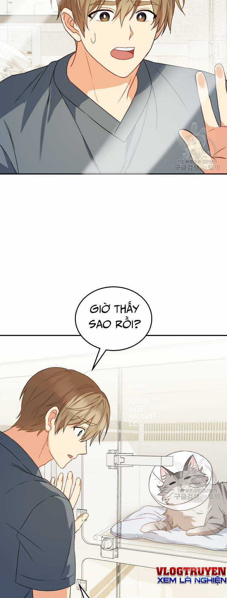 Xin Chào! Bác Sĩ Thú Y Chapter 14 trang 47