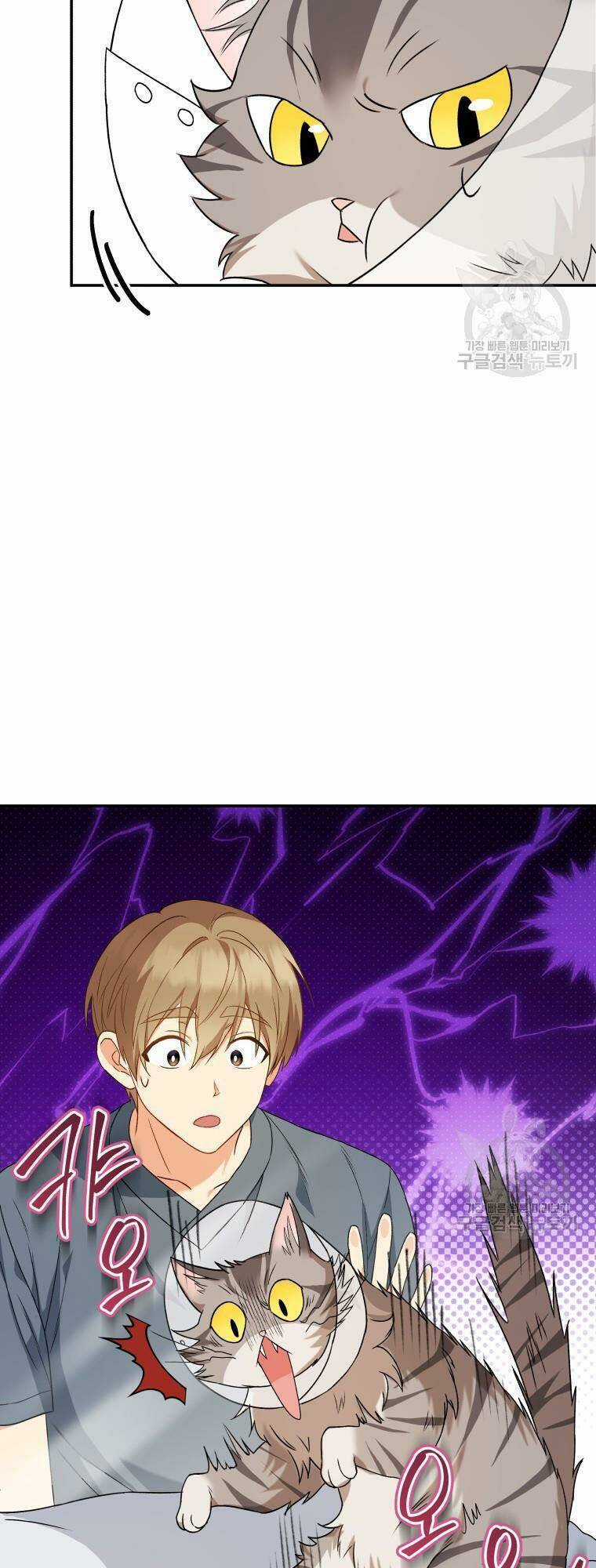 Xin Chào! Bác Sĩ Thú Y Chapter 14 trang 52