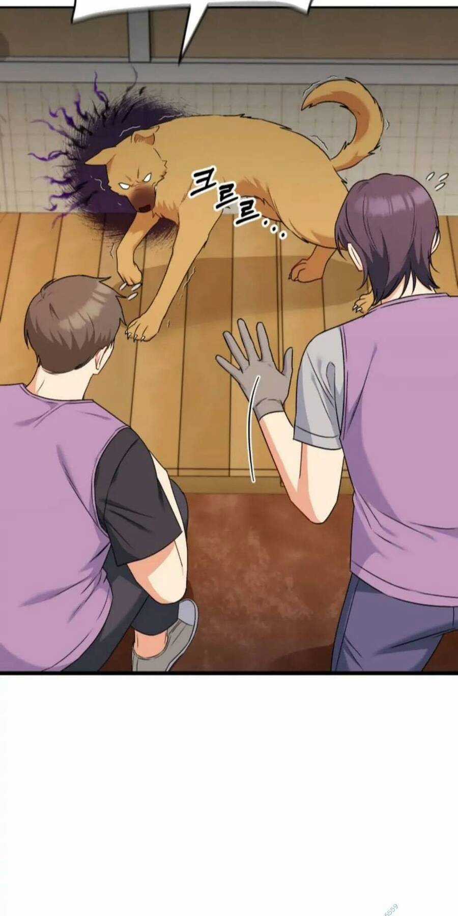 Xin Chào! Bác Sĩ Thú Y Chapter 16 trang 63