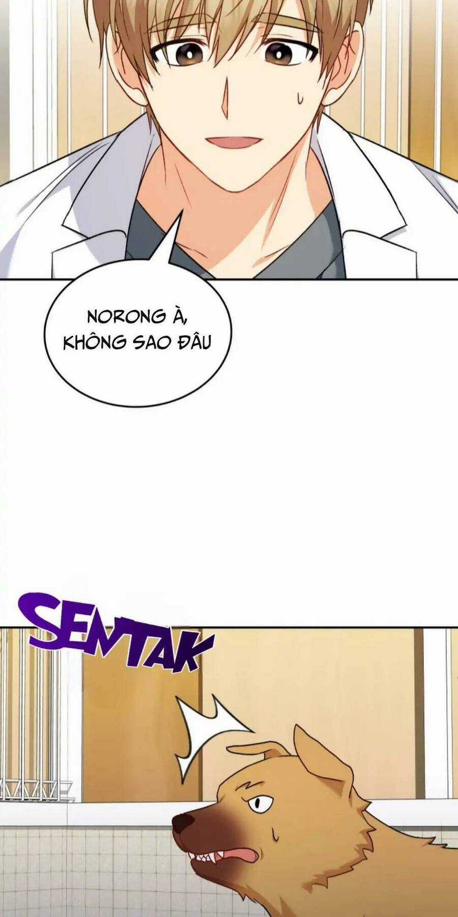 Xin Chào! Bác Sĩ Thú Y Chapter 16 trang 70