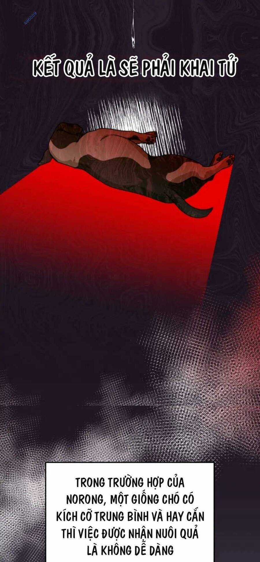 Xin Chào! Bác Sĩ Thú Y Chapter 17 trang 36