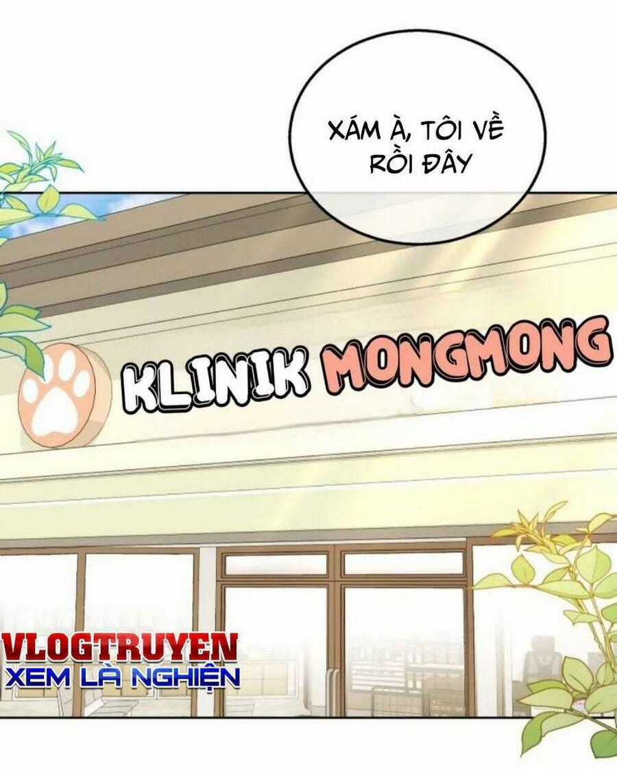 Xin Chào! Bác Sĩ Thú Y Chapter 21 trang 0