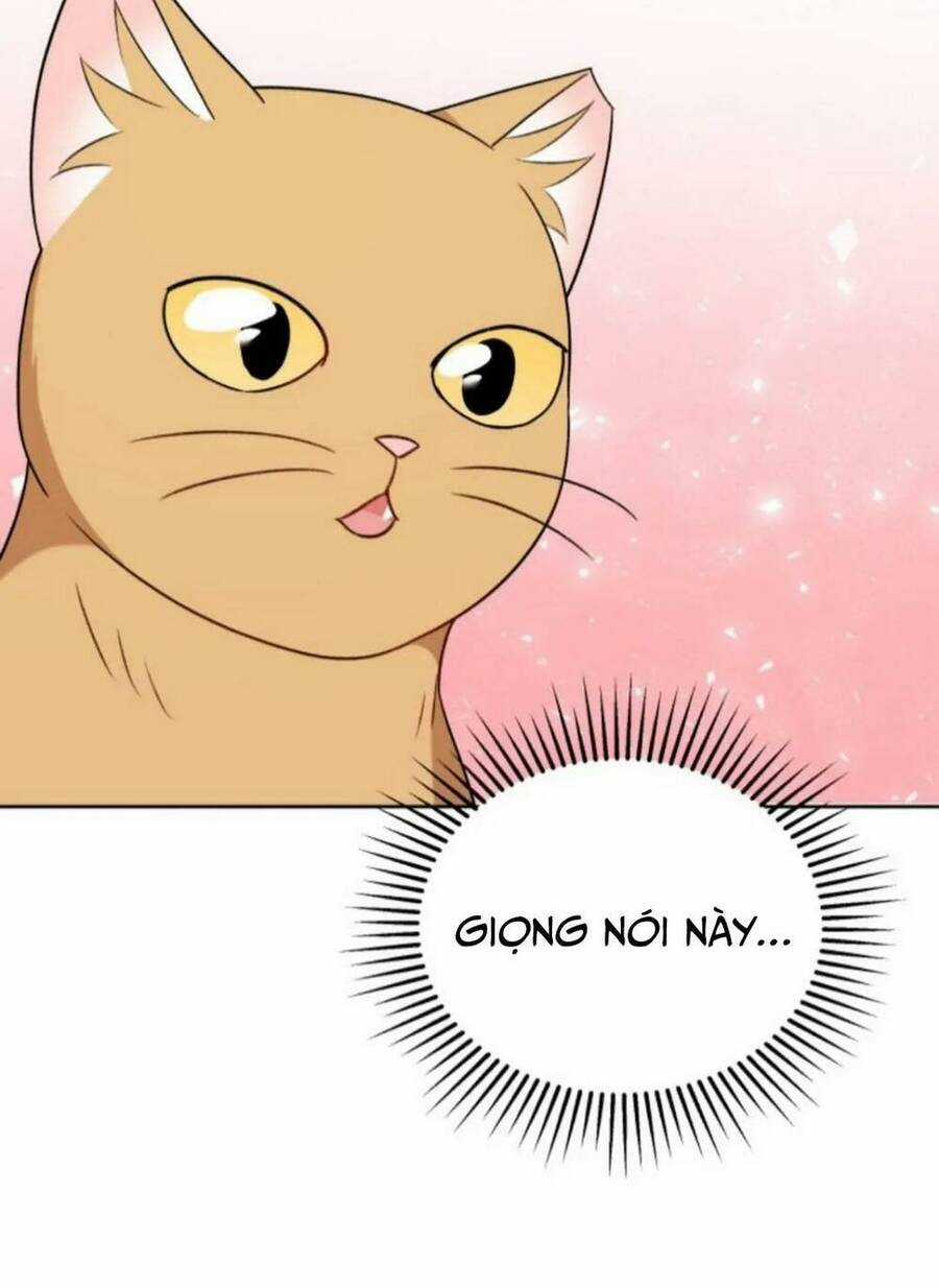 Xin Chào! Bác Sĩ Thú Y Chapter 21 trang 44