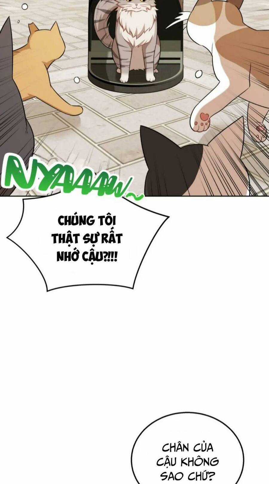 Xin Chào! Bác Sĩ Thú Y Chapter 21 trang 50