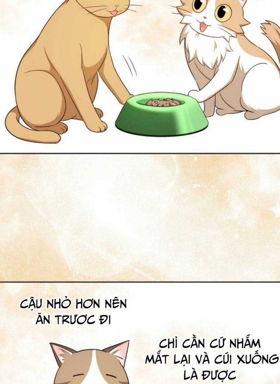 Xin Chào! Bác Sĩ Thú Y Chapter 21 trang 66