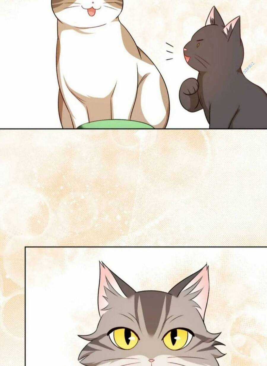 Xin Chào! Bác Sĩ Thú Y Chapter 21 trang 67