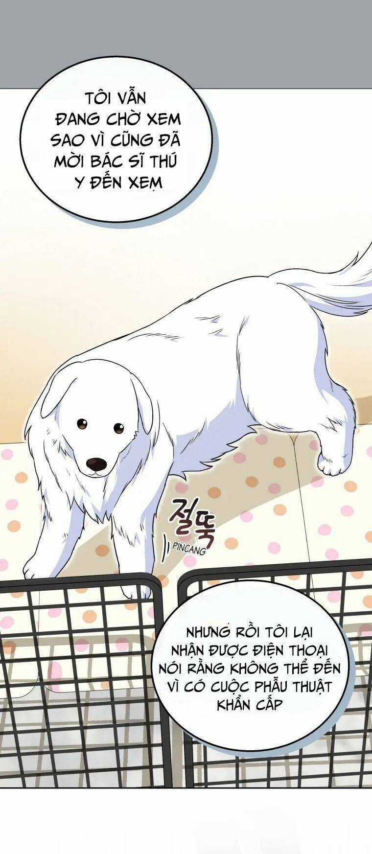 Xin Chào! Bác Sĩ Thú Y Chapter 22 trang 36