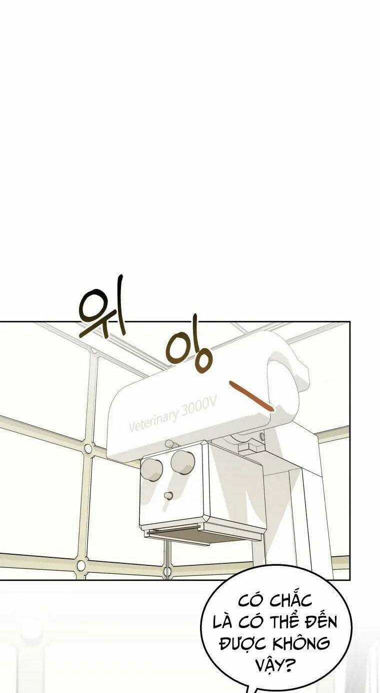 Xin Chào! Bác Sĩ Thú Y Chapter 22 trang 48