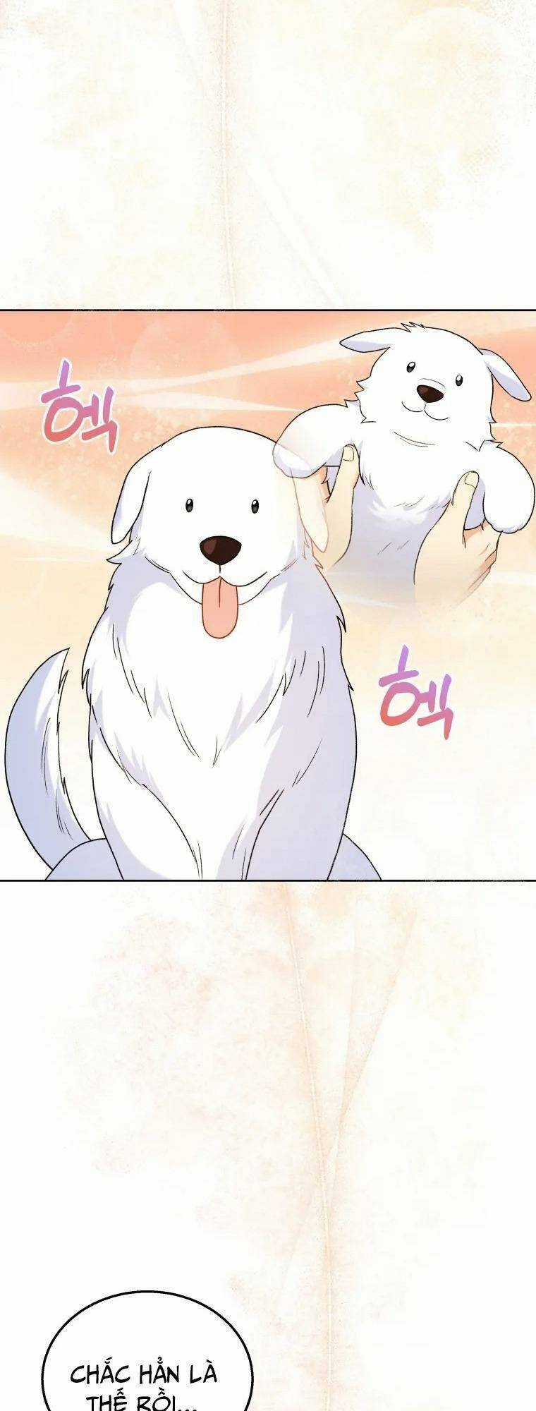 Xin Chào! Bác Sĩ Thú Y Chapter 23 trang 68