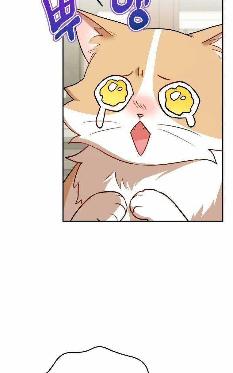 Xin Chào! Bác Sĩ Thú Y Chapter 25 trang 4