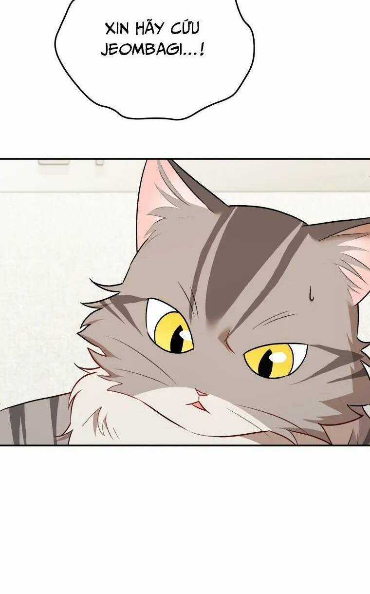 Xin Chào! Bác Sĩ Thú Y Chapter 25 trang 5