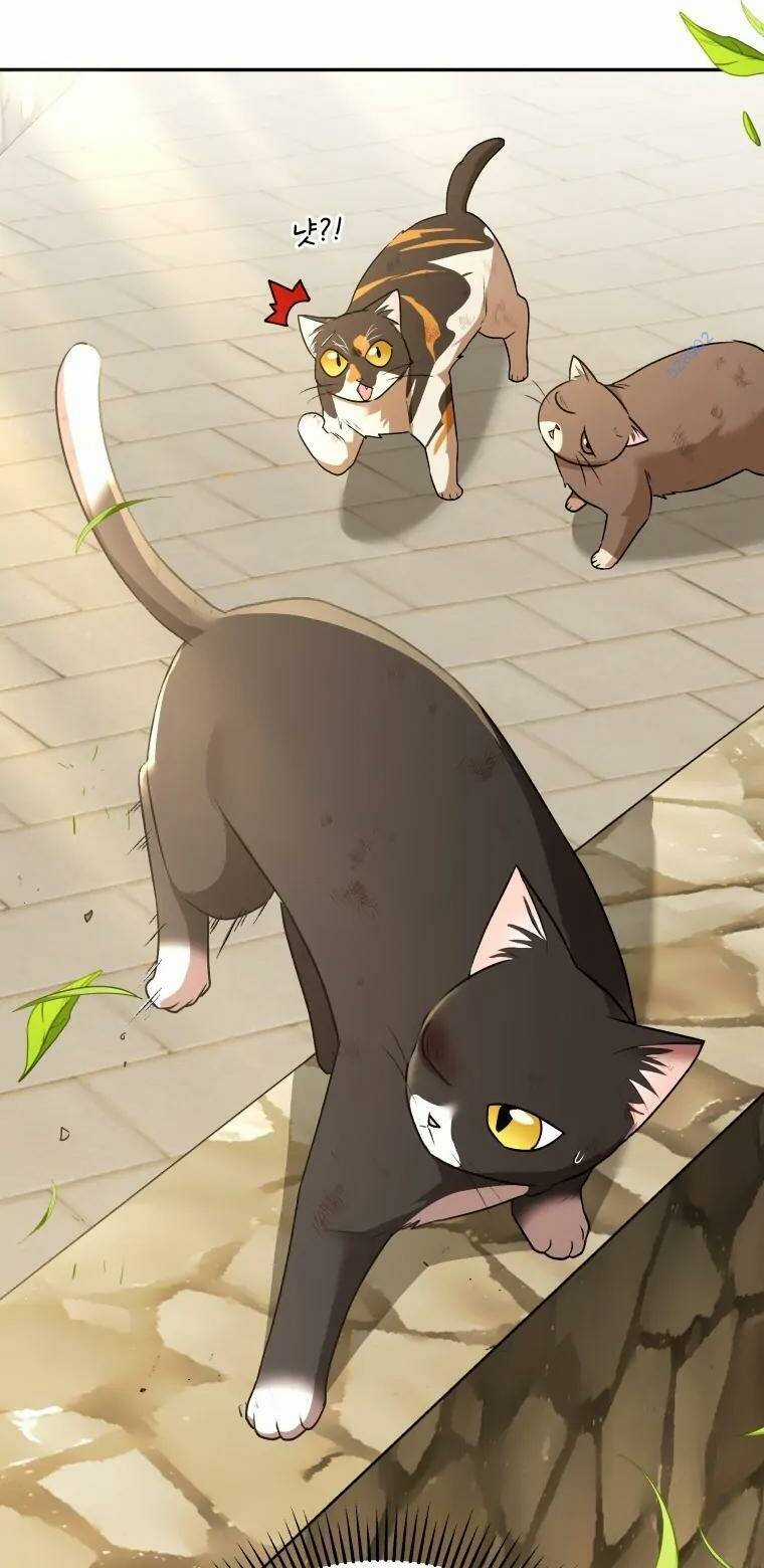 Xin Chào! Bác Sĩ Thú Y Chapter 27 trang 25