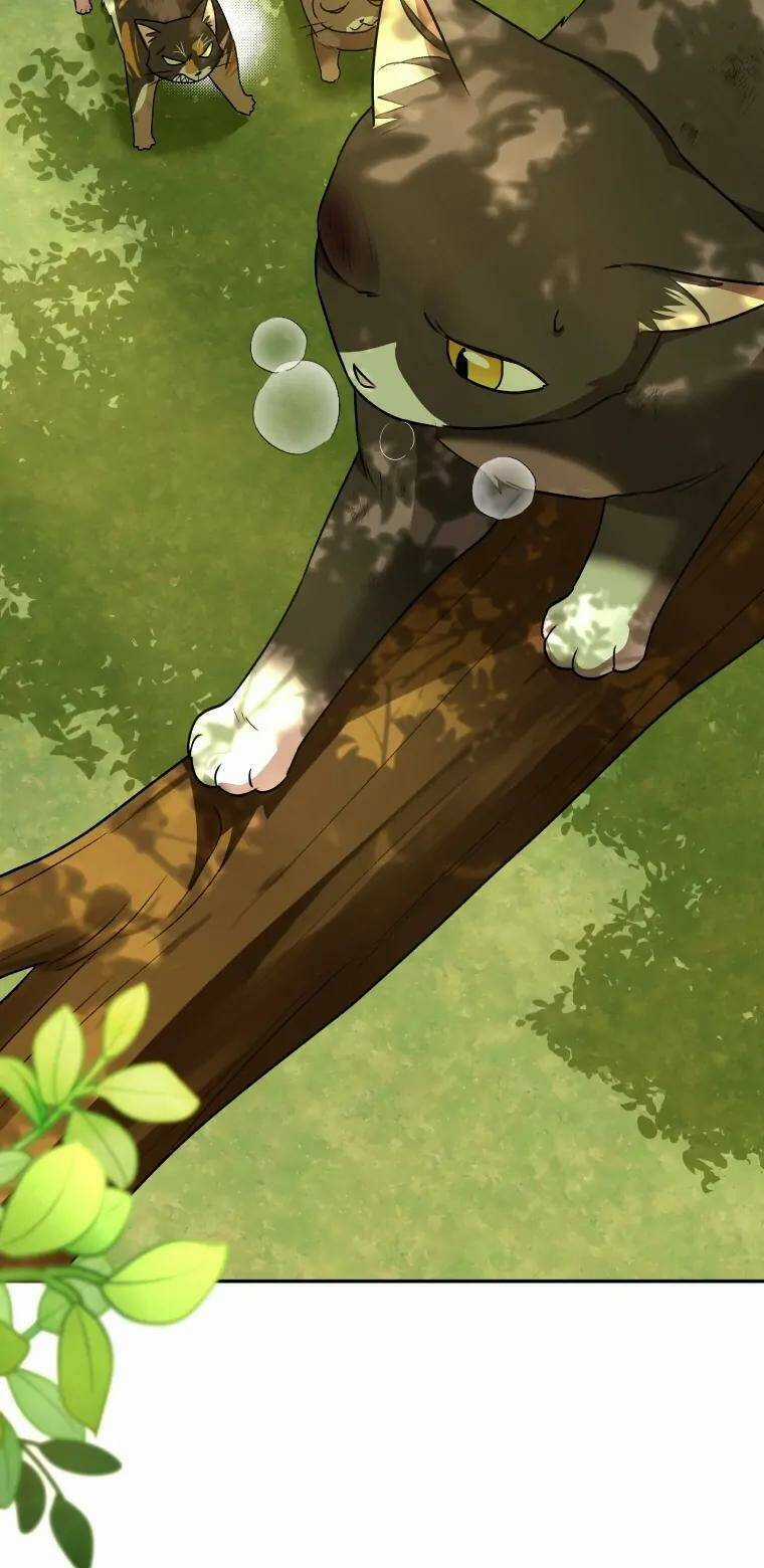 Xin Chào! Bác Sĩ Thú Y Chapter 27 trang 29