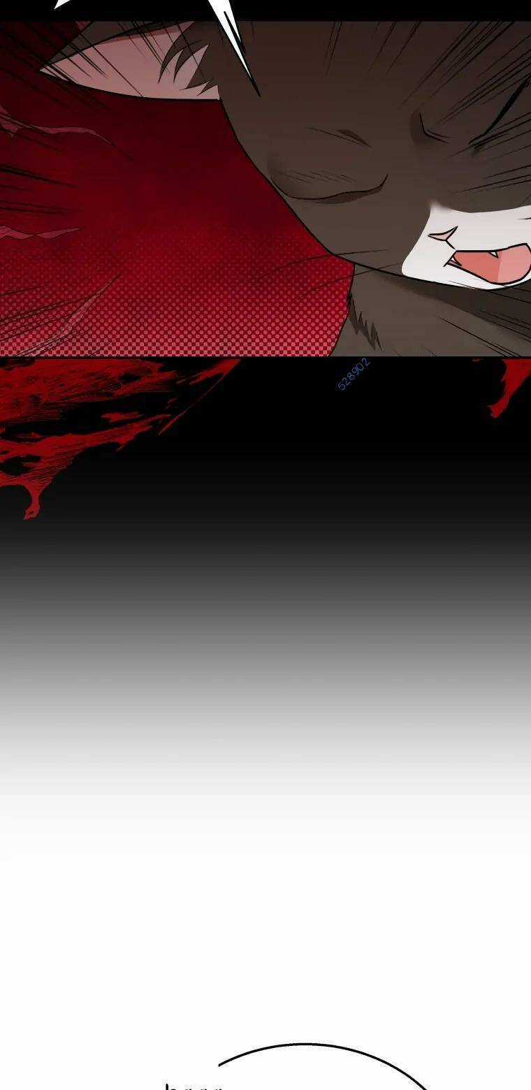 Xin Chào! Bác Sĩ Thú Y Chapter 27 trang 37