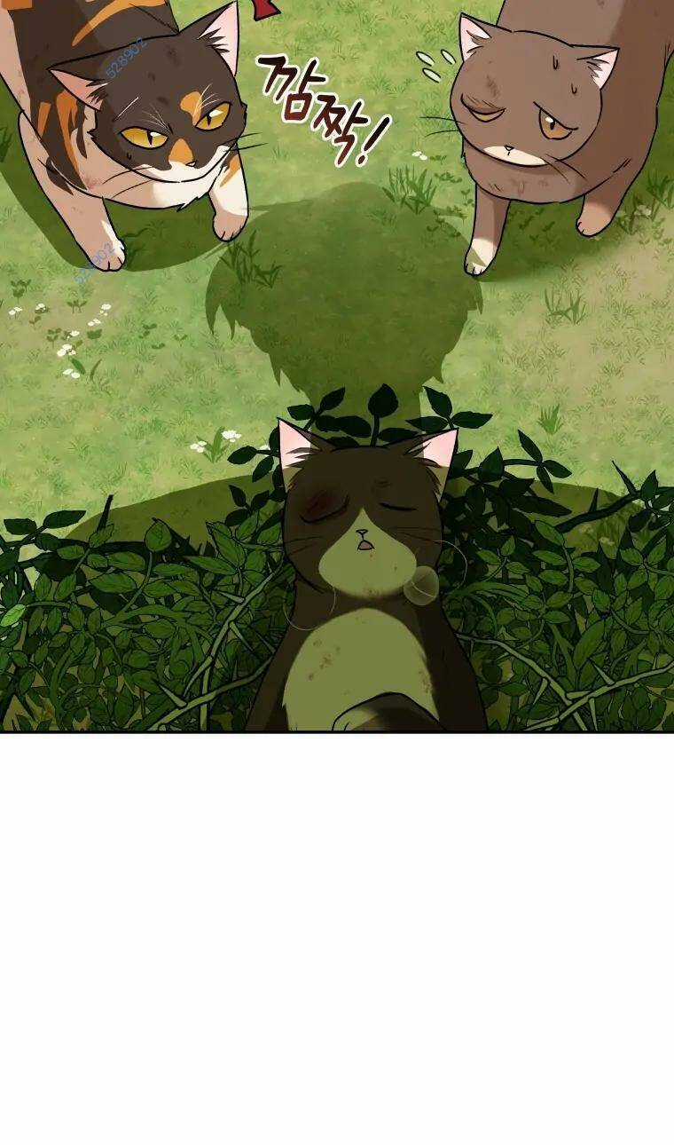 Xin Chào! Bác Sĩ Thú Y Chapter 27 trang 44