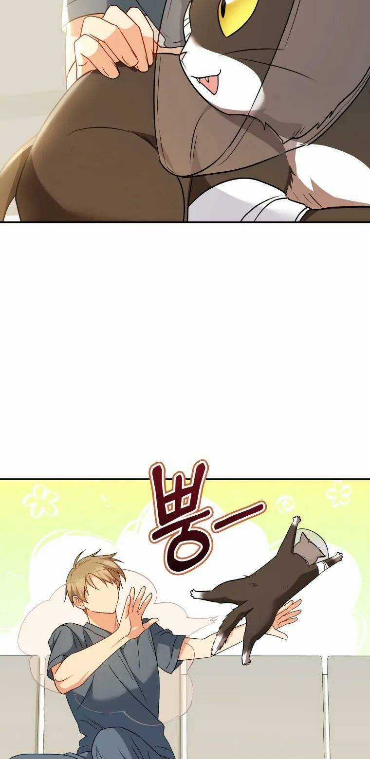 Xin Chào! Bác Sĩ Thú Y Chapter 27 trang 60