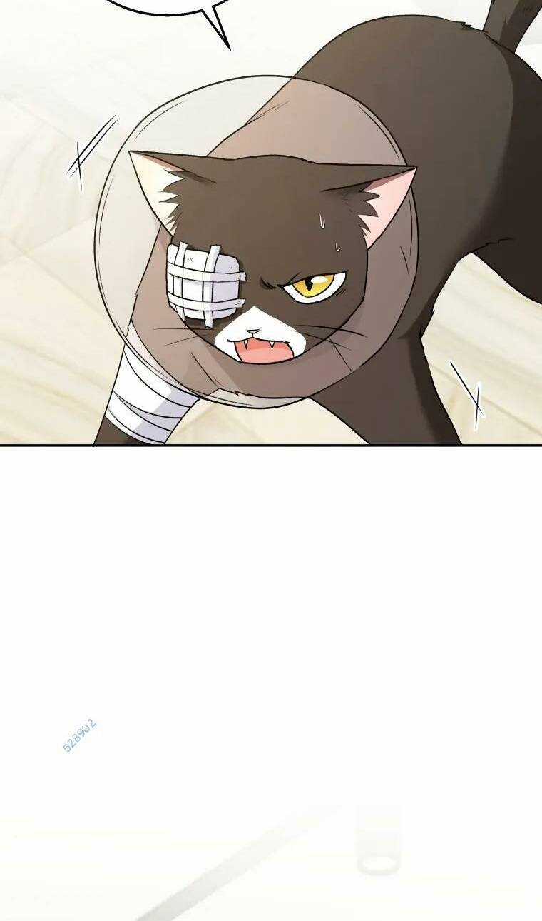 Xin Chào! Bác Sĩ Thú Y Chapter 27 trang 63