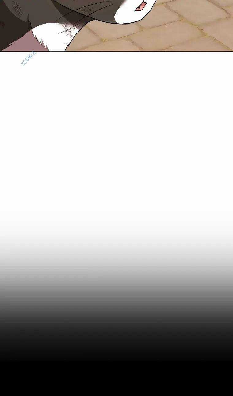 Xin Chào! Bác Sĩ Thú Y Chapter 27 trang 8