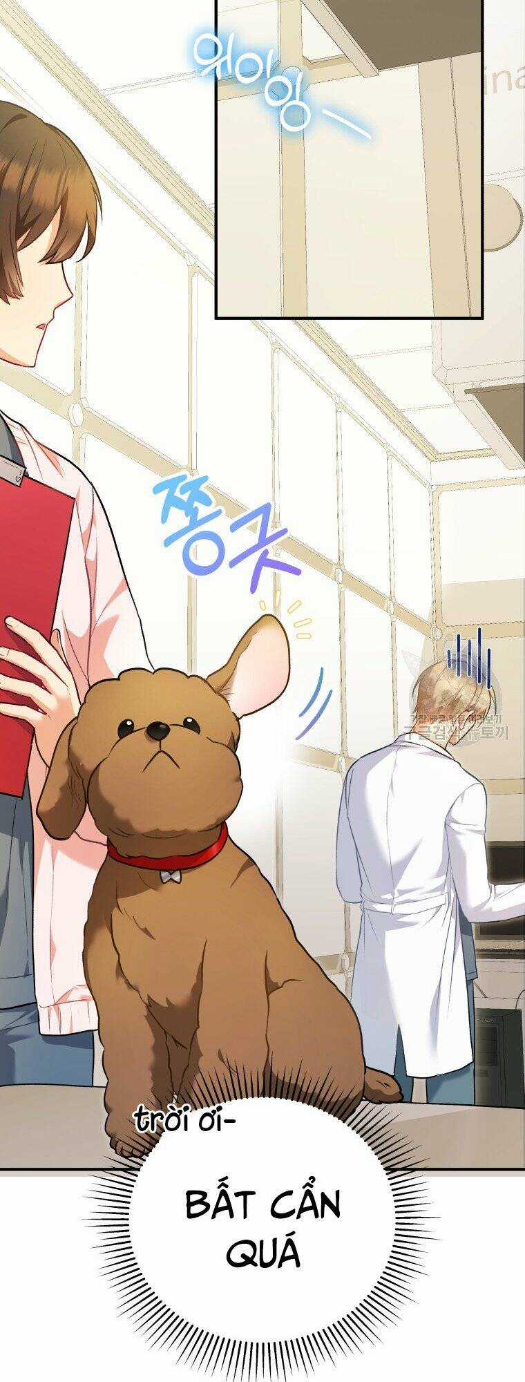 Xin Chào! Bác Sĩ Thú Y Chapter 3 trang 12