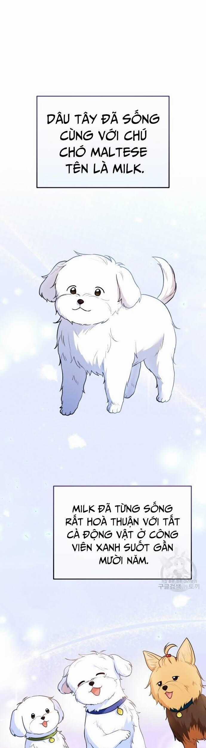 Xin Chào! Bác Sĩ Thú Y Chapter 32 trang 1