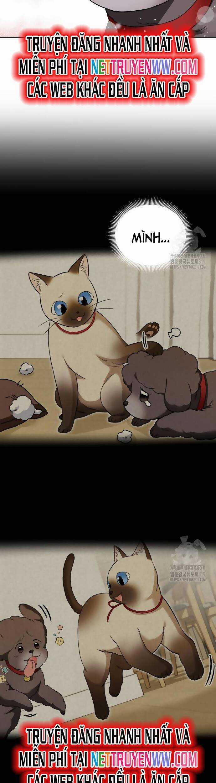 Xin Chào! Bác Sĩ Thú Y Chapter 35 trang 25