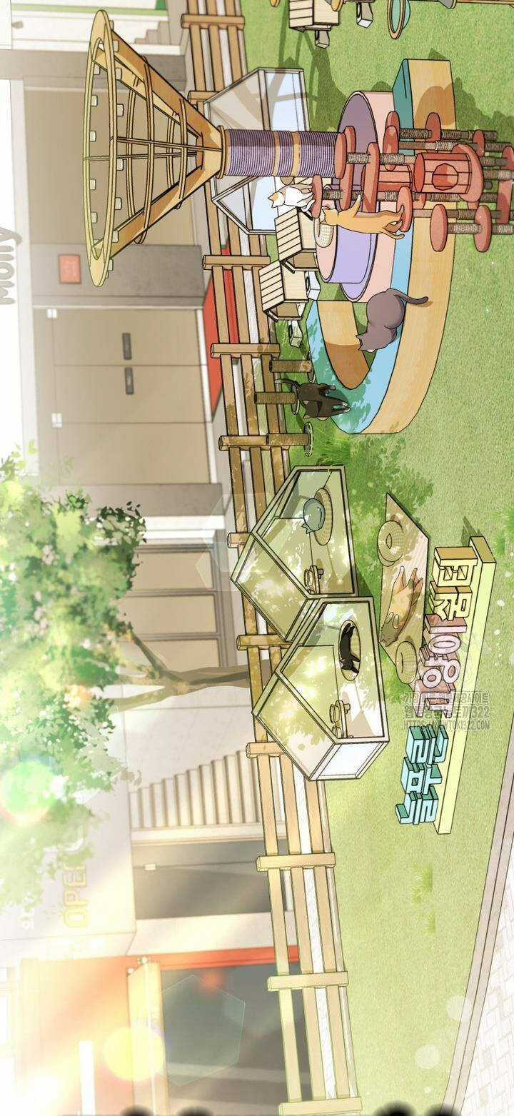 Xin Chào! Bác Sĩ Thú Y Chapter 37 trang 21