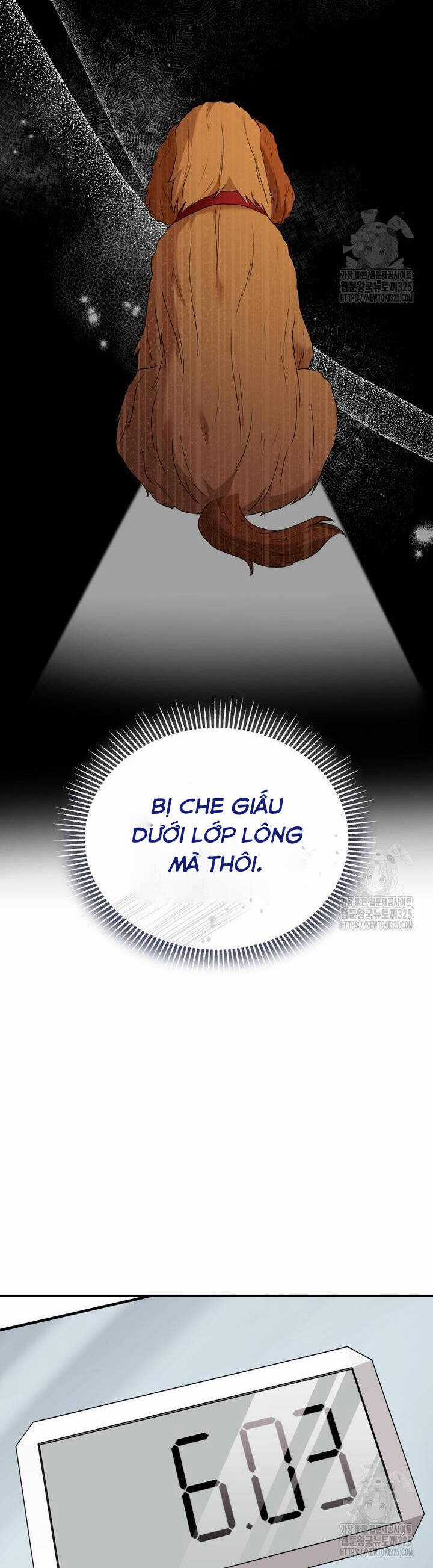 Xin Chào! Bác Sĩ Thú Y Chapter 42 trang 28