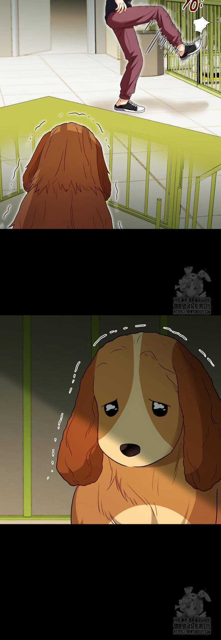 Xin Chào! Bác Sĩ Thú Y Chapter 43 trang 11