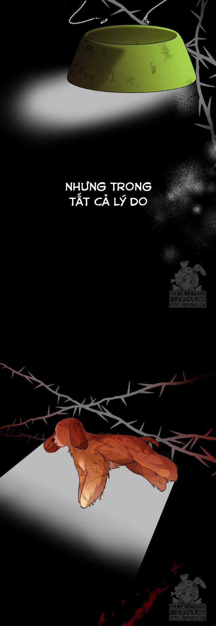 Xin Chào! Bác Sĩ Thú Y Chapter 43 trang 17