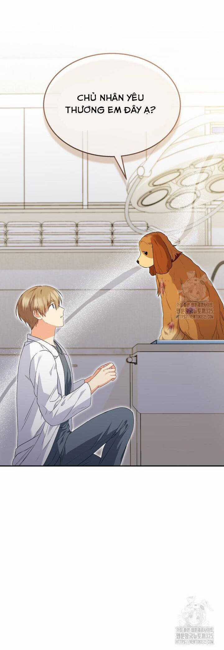 Xin Chào! Bác Sĩ Thú Y Chapter 43 trang 22