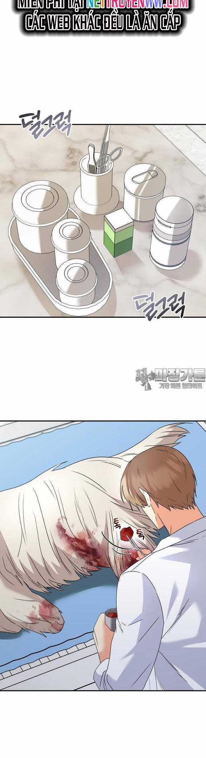 Xin Chào! Bác Sĩ Thú Y Chapter 48 trang 30