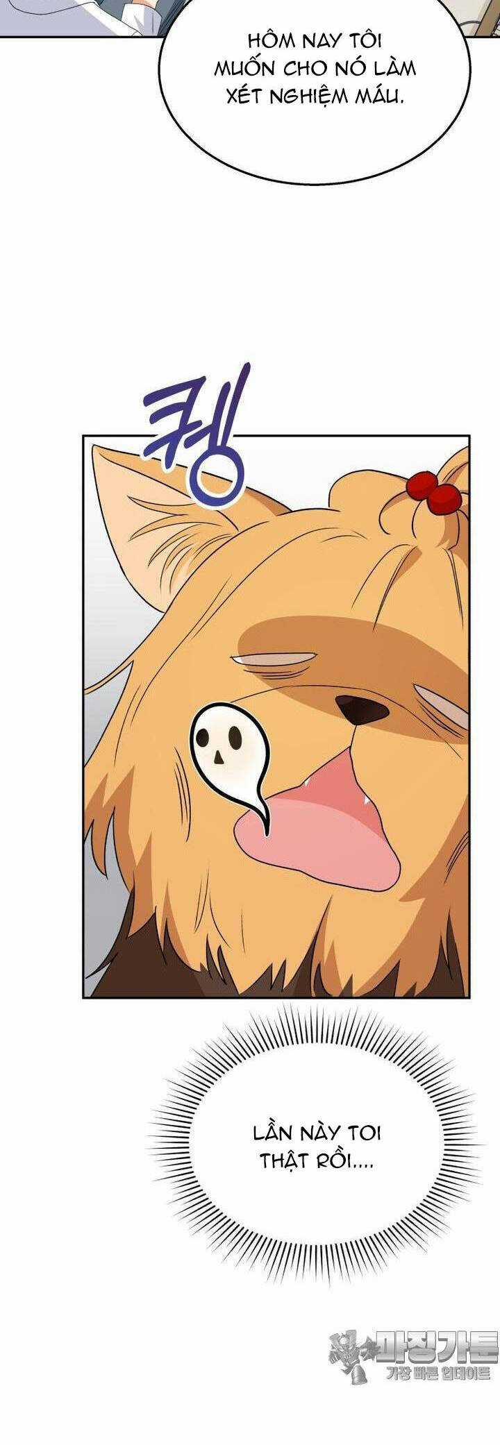 Xin Chào! Bác Sĩ Thú Y Chapter 50 trang 2