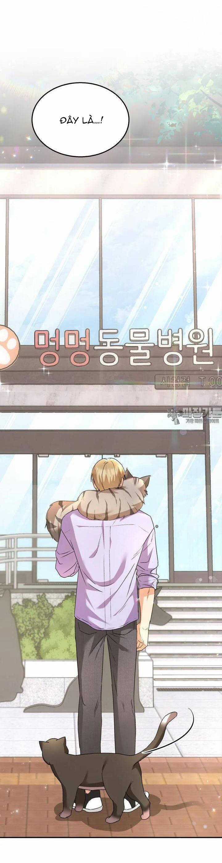 Xin Chào! Bác Sĩ Thú Y Chapter 51 trang 2