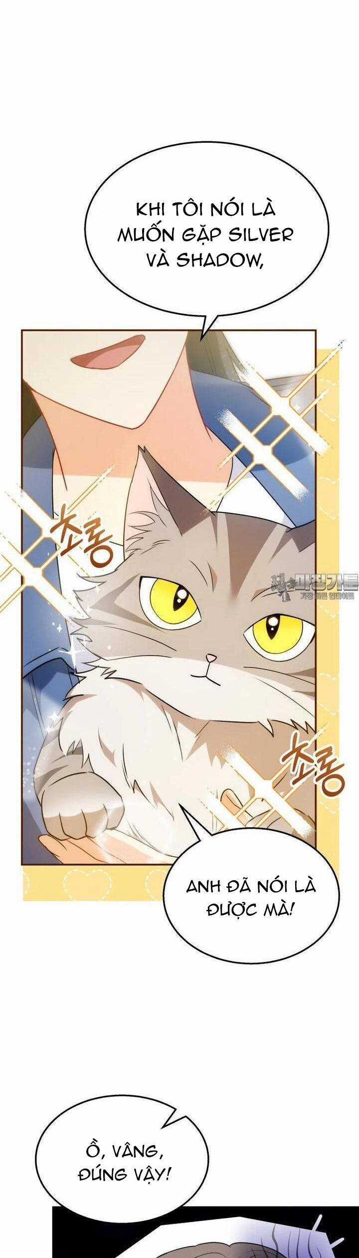 Xin Chào! Bác Sĩ Thú Y Chapter 51 trang 35