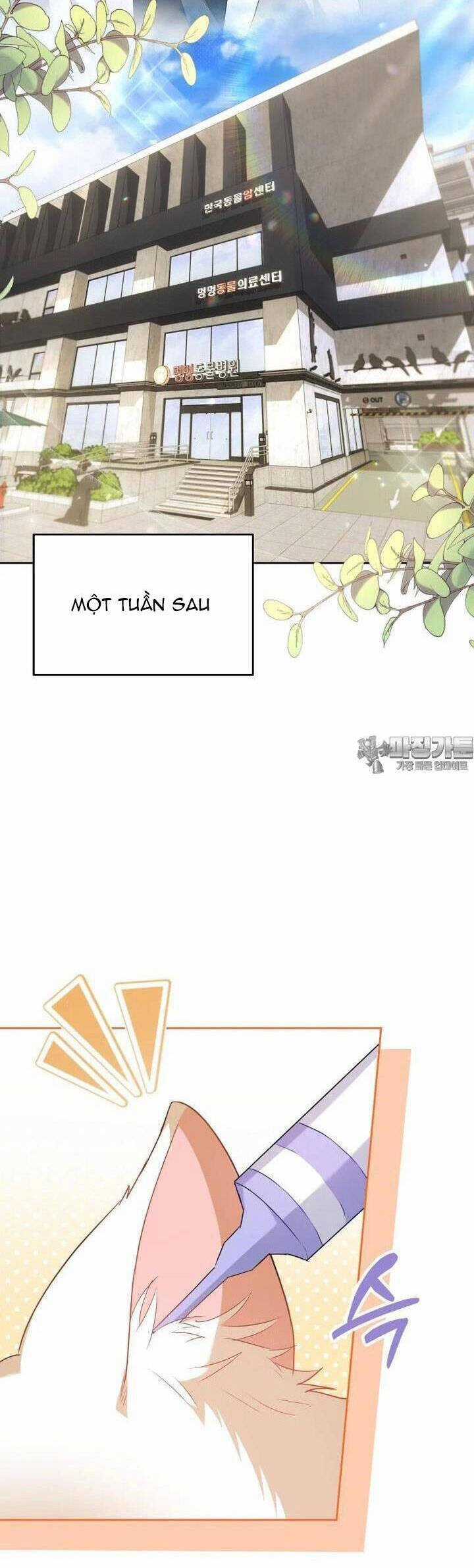 Xin Chào! Bác Sĩ Thú Y Chapter 53 trang 35