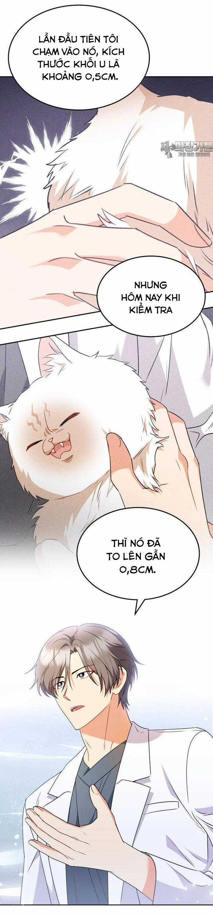 Xin Chào! Bác Sĩ Thú Y Chapter 54 trang 19