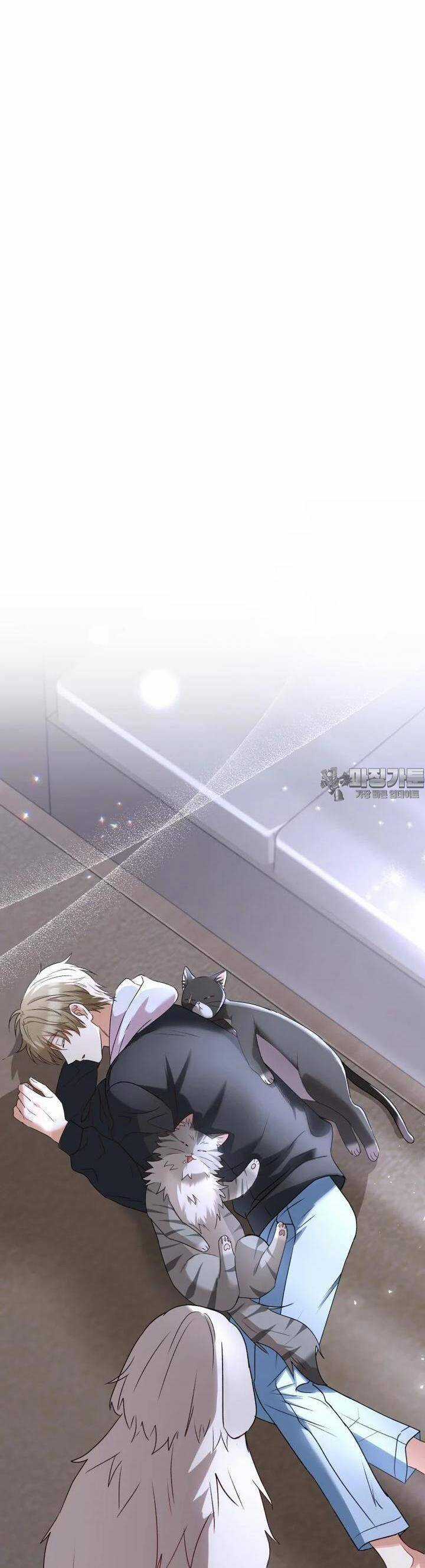 Xin Chào! Bác Sĩ Thú Y Chapter 55 trang 40