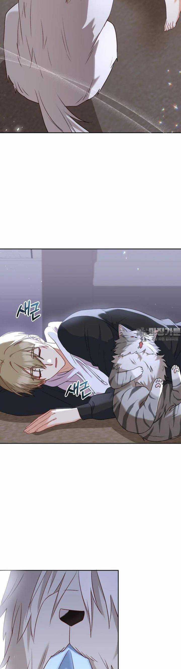 Xin Chào! Bác Sĩ Thú Y Chapter 55 trang 41