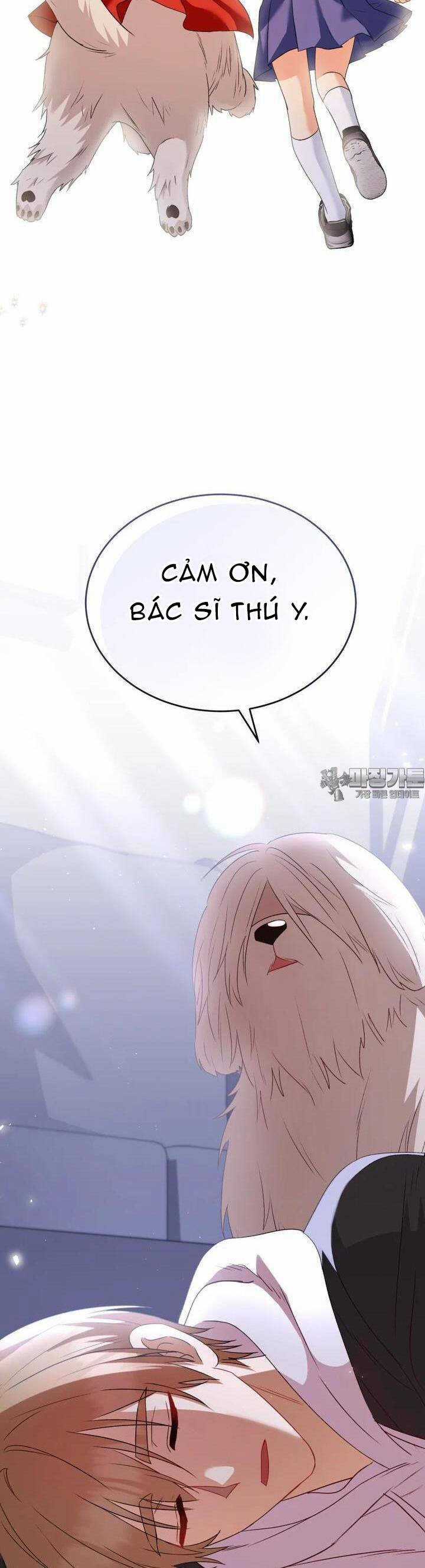 Xin Chào! Bác Sĩ Thú Y Chapter 55 trang 44