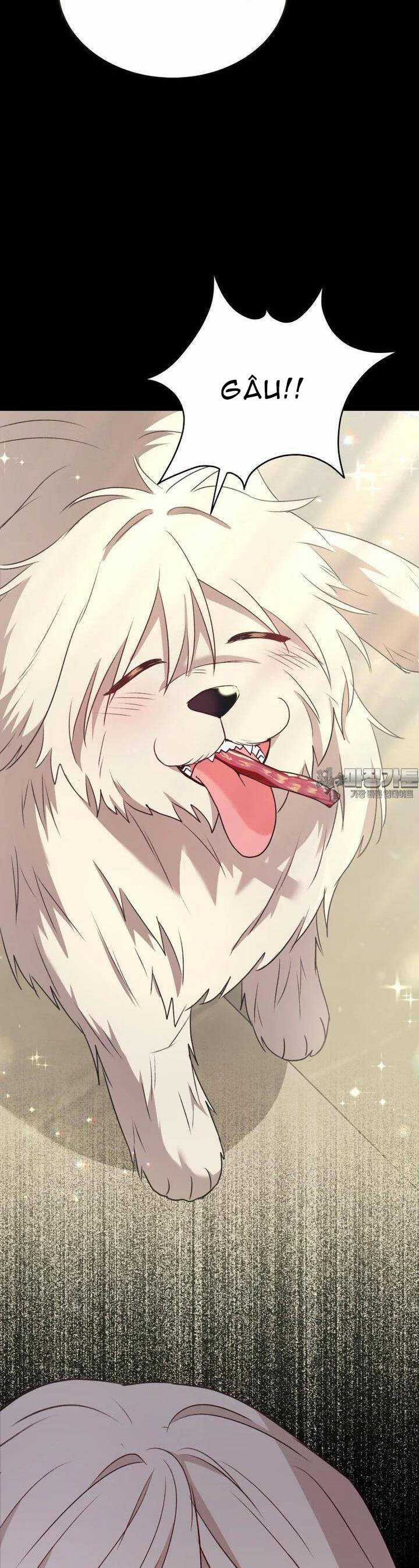 Xin Chào! Bác Sĩ Thú Y Chapter 55 trang 5