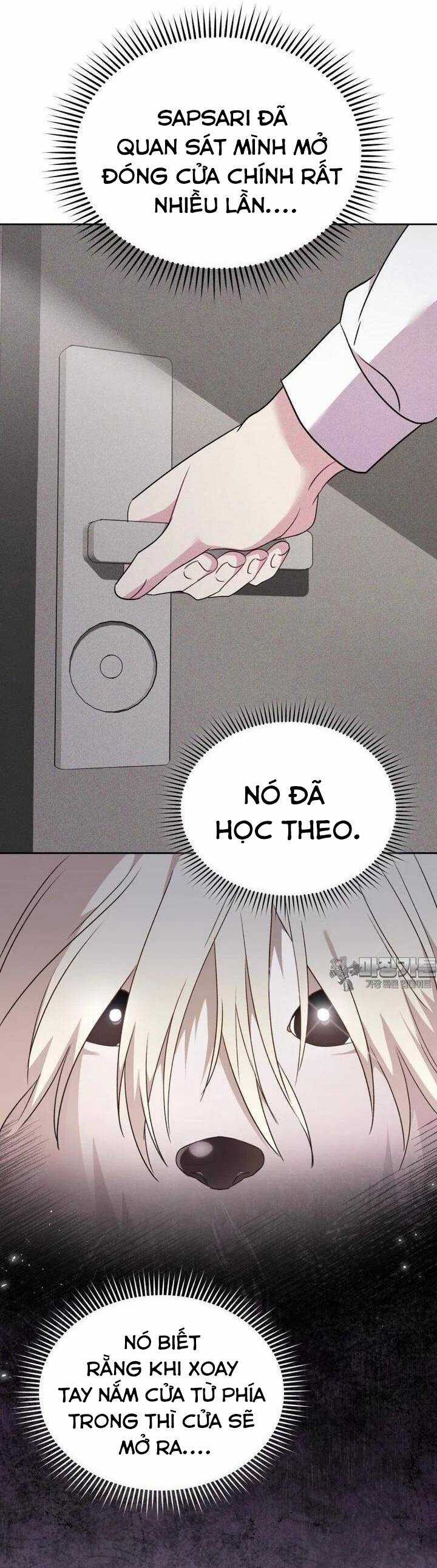 Xin Chào! Bác Sĩ Thú Y Chapter 57 trang 19