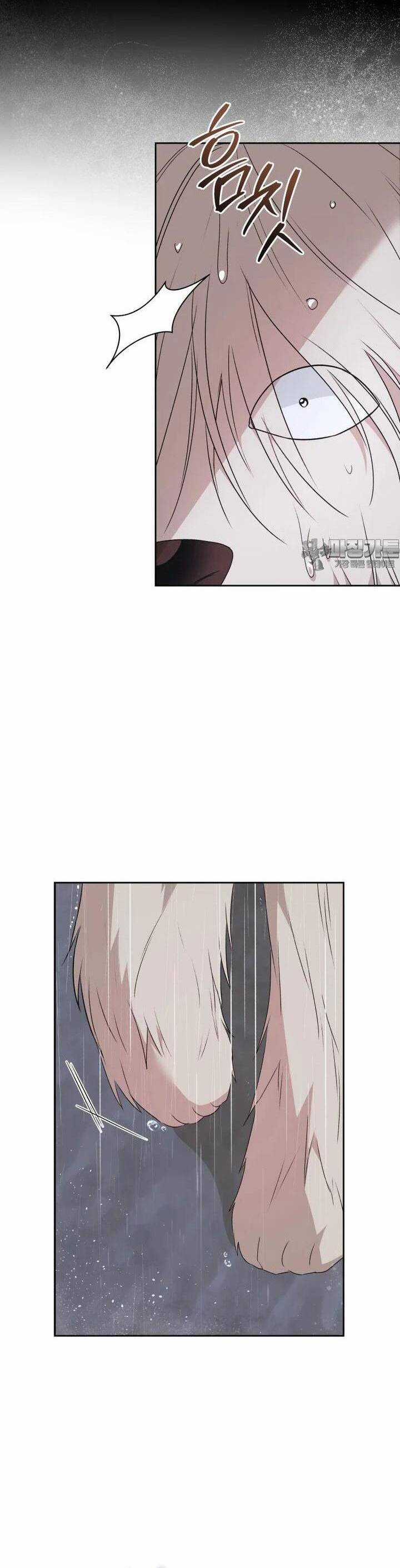 Xin Chào! Bác Sĩ Thú Y Chapter 57 trang 4