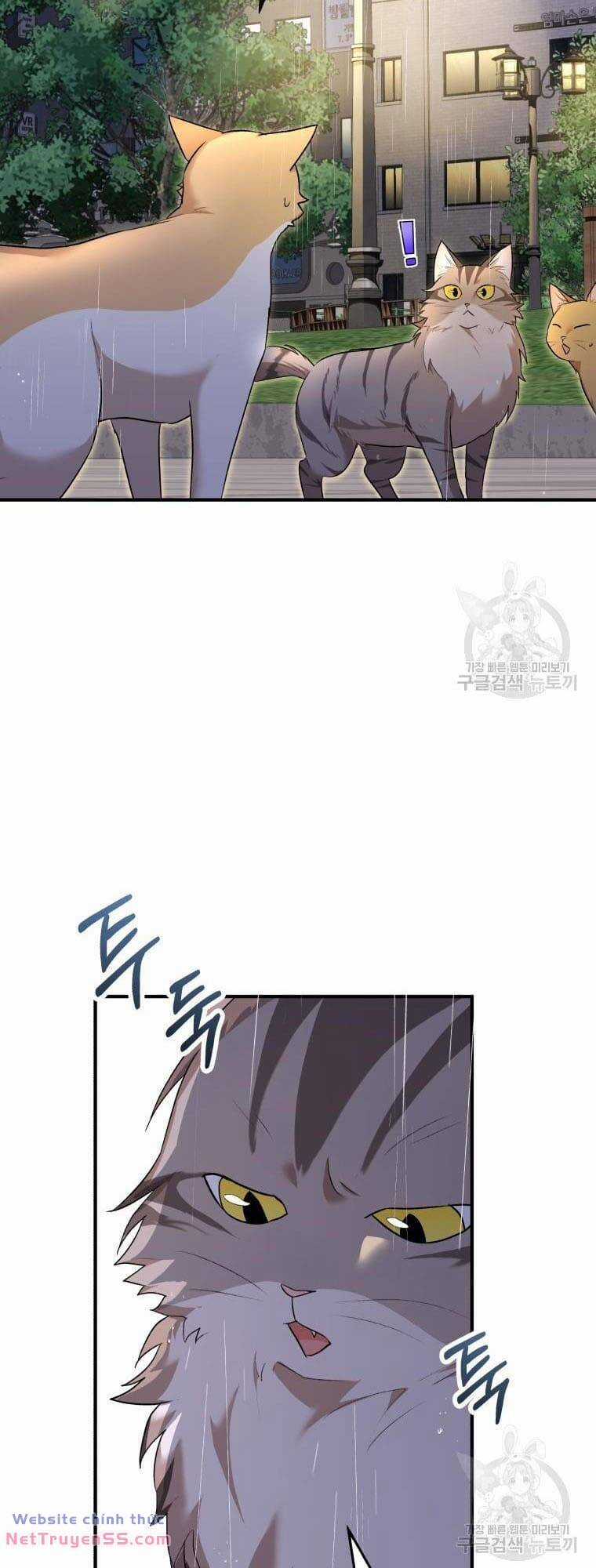 Xin Chào! Bác Sĩ Thú Y Chapter 6 trang 51