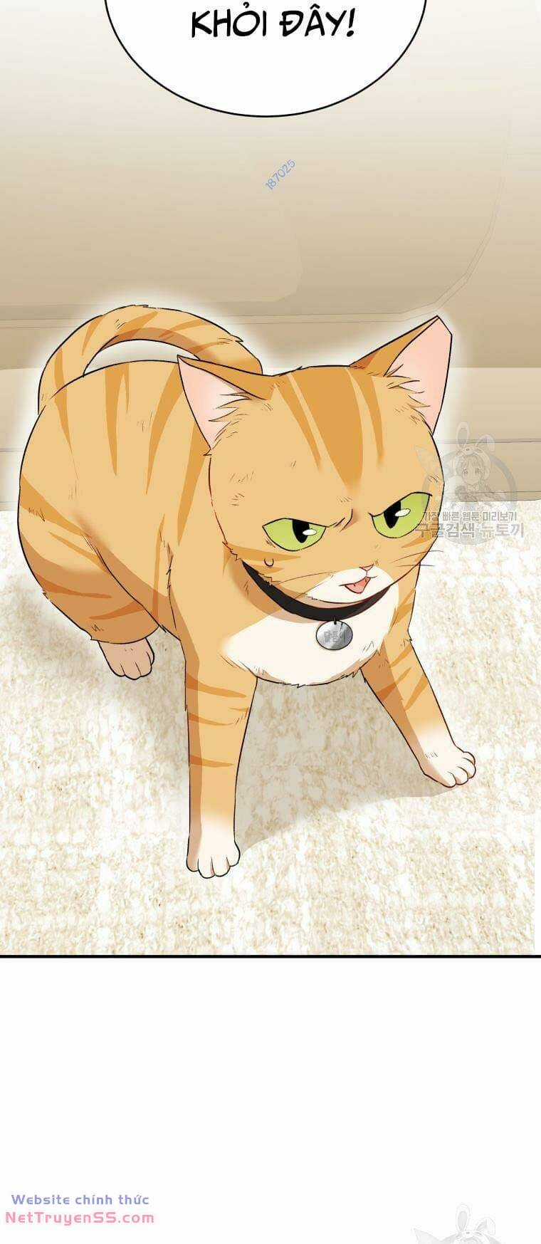 Xin Chào! Bác Sĩ Thú Y Chapter 7 trang 69