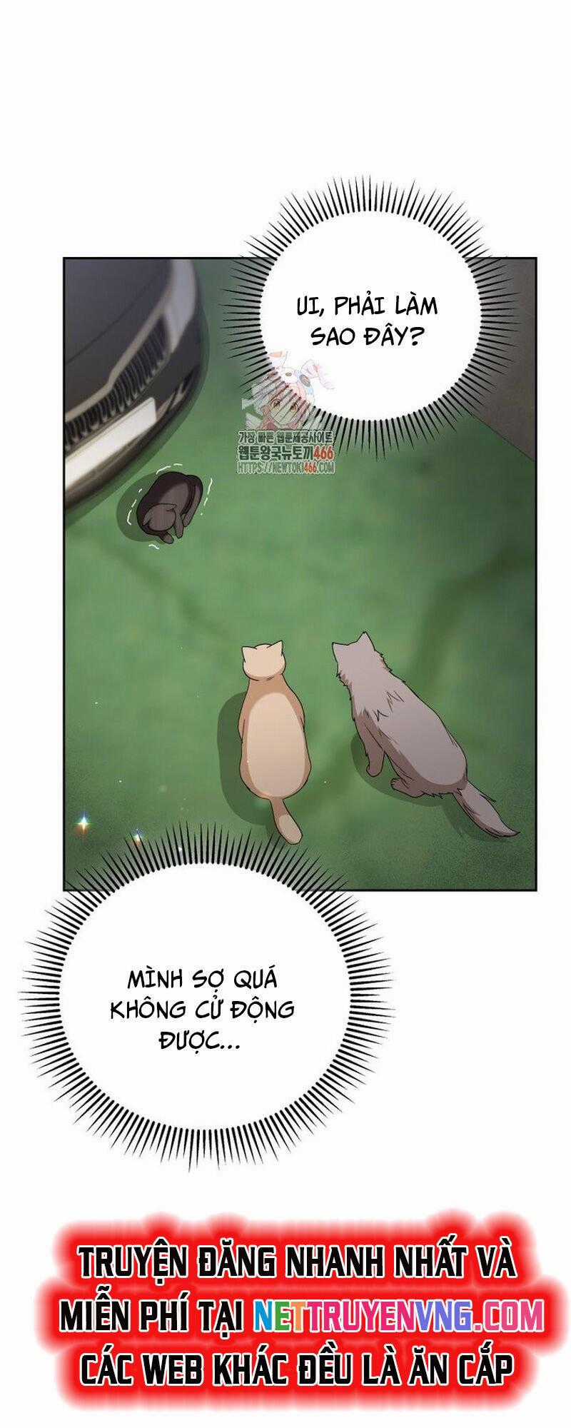 Xin Chào! Bác Sĩ Thú Y Chapter 77 trang 1