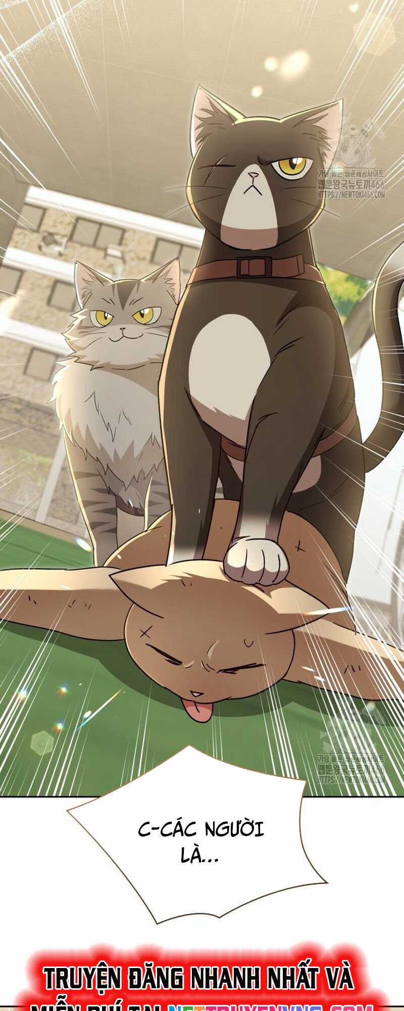 Xin Chào! Bác Sĩ Thú Y Chapter 77 trang 17